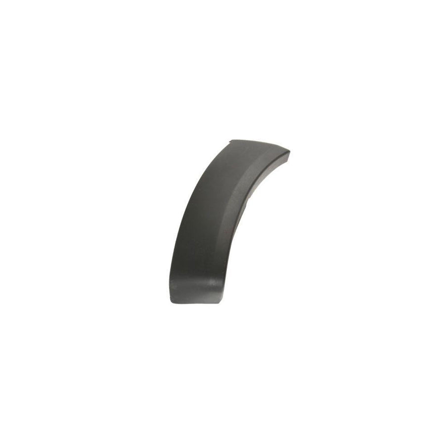 Blic 5703-08-8172377P Trim / Protective Strip, Mudguard for Toyota Hilux VII Pickup