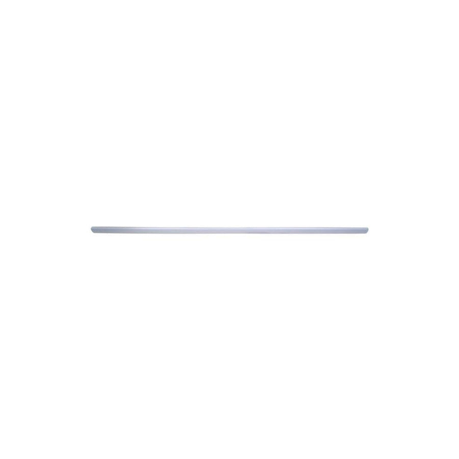 Blic 5703-04-9523576P Door Molding
