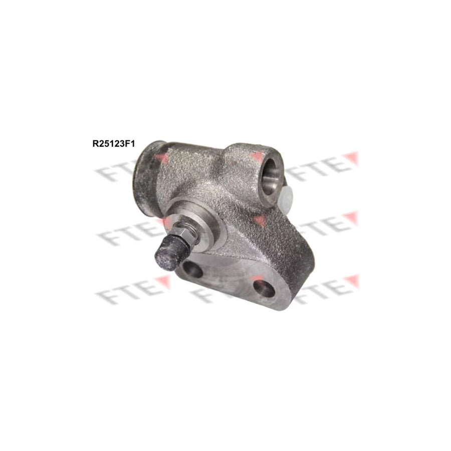 FTE R25123F1 Wheel Brake Cylinder for VW Transporter