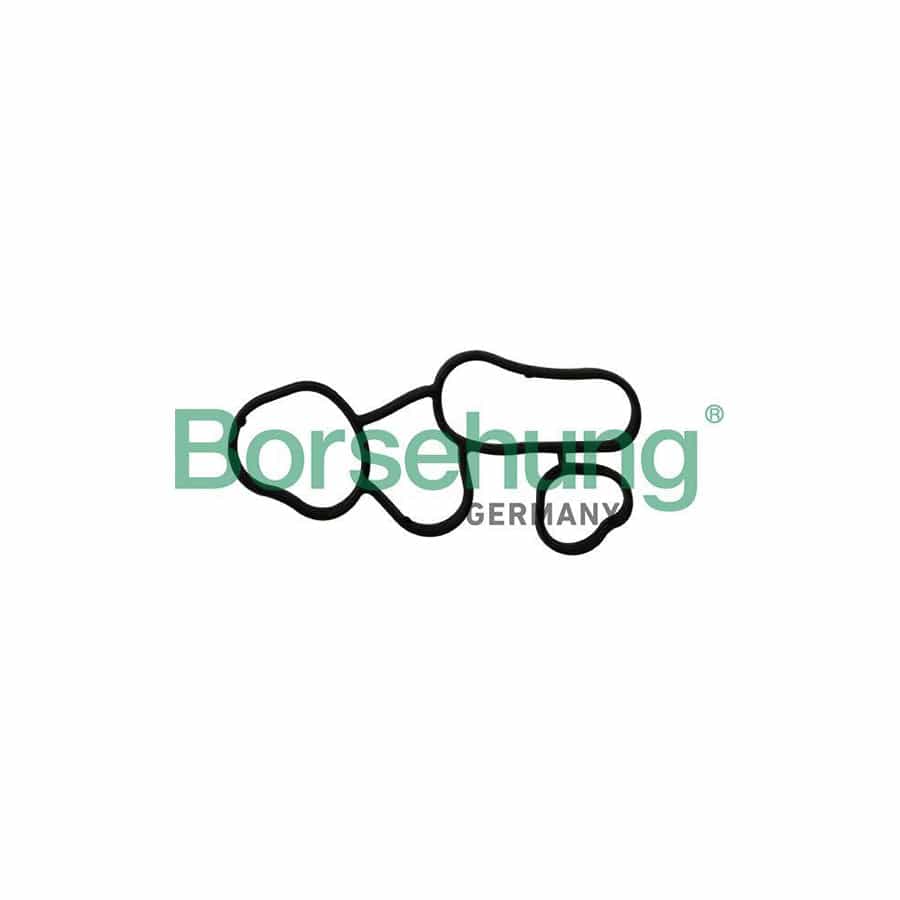Borsehung B10621 Seal, Oil Filter Housing