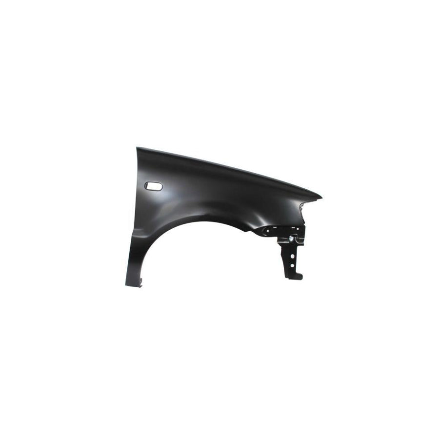Blic 6504-04-9504316P Wing Fender for VW Polo