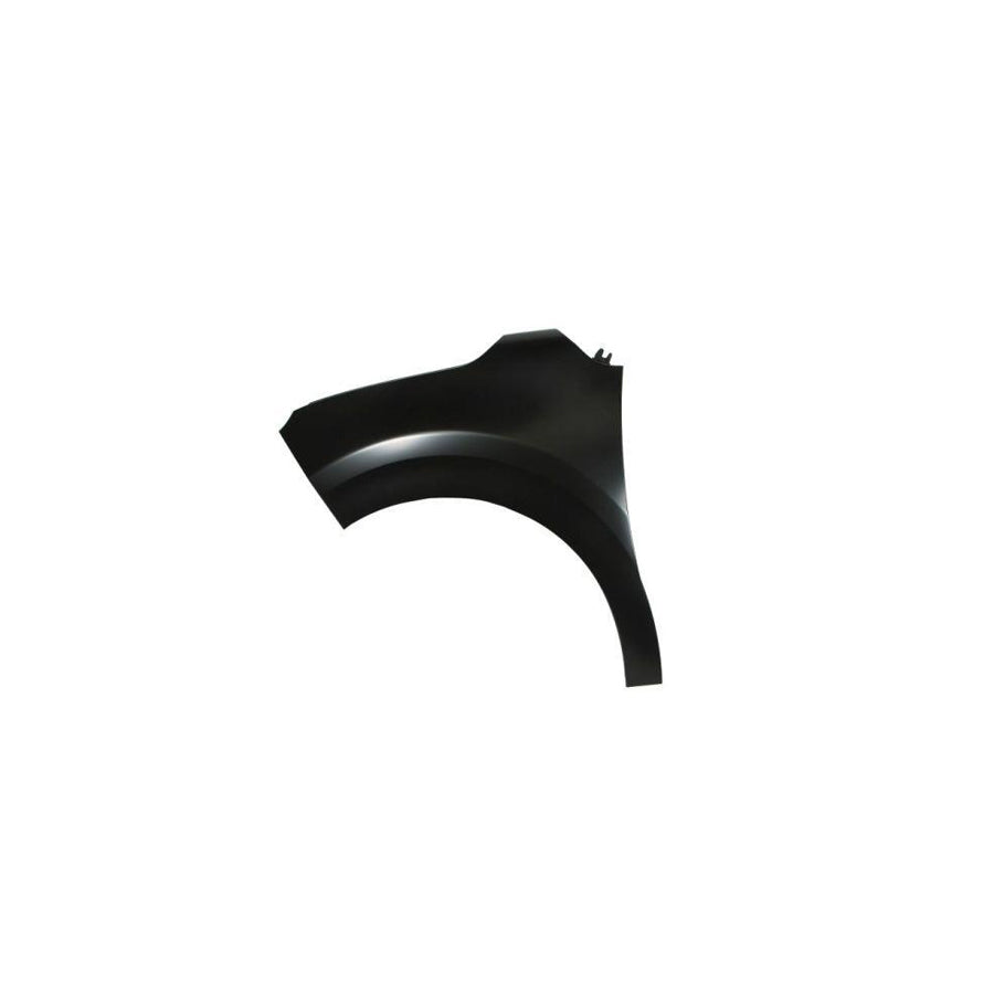 Blic 6504-04-0532311P Wing Fender for Citroen C3