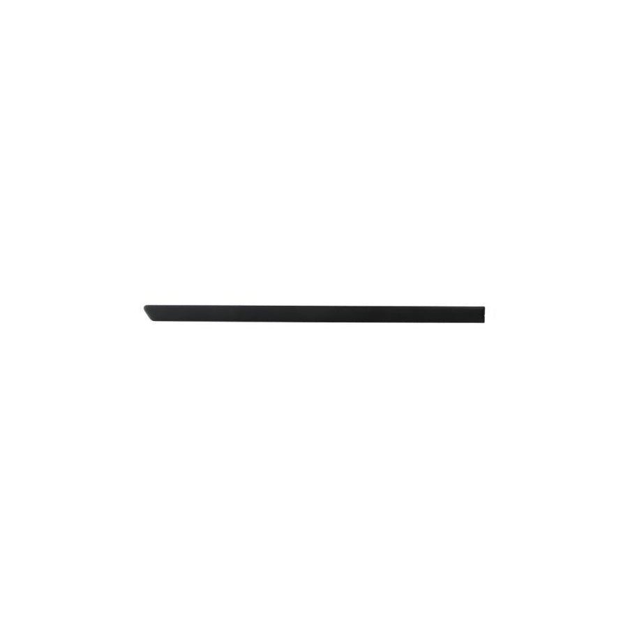 Blic 5703-04-9523574P Door Molding