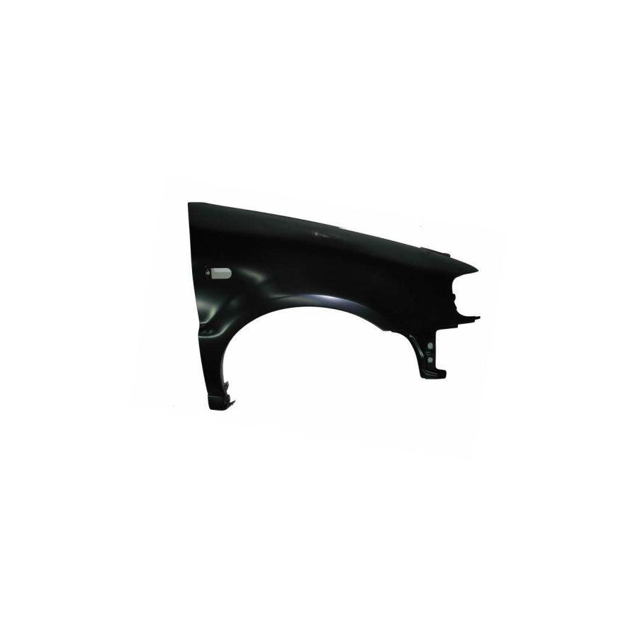 Blic 6504-04-9504312P Wing Fender for VW Polo