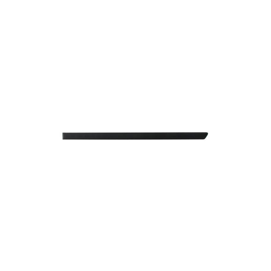 Blic 5703-04-9523573P Door Molding