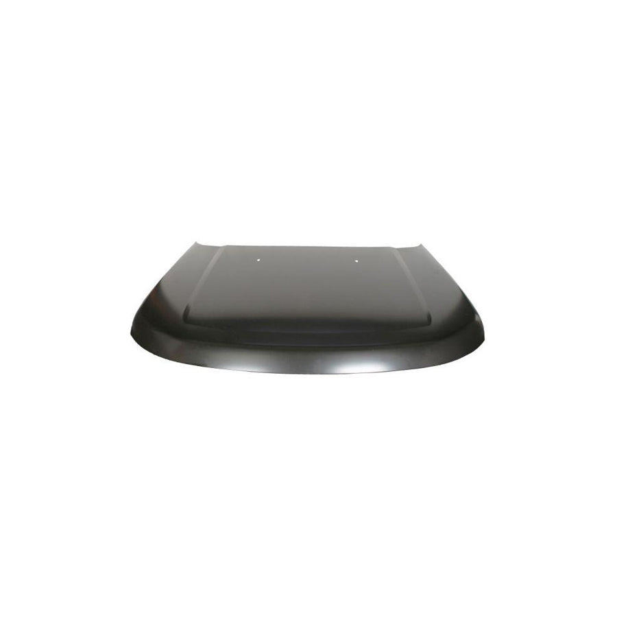 Blic 6803-00-6490280P Bonnet for Land Rover Discovery III (L319)