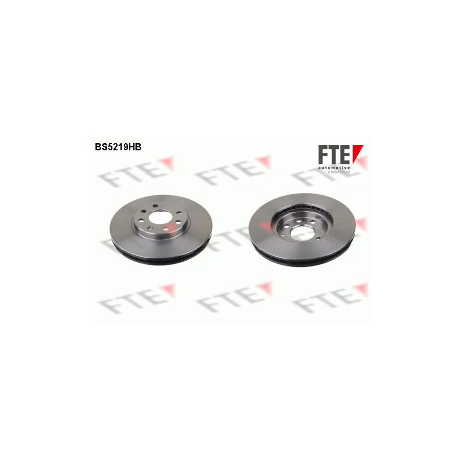 FTE Bs5219Hb Brake Disc