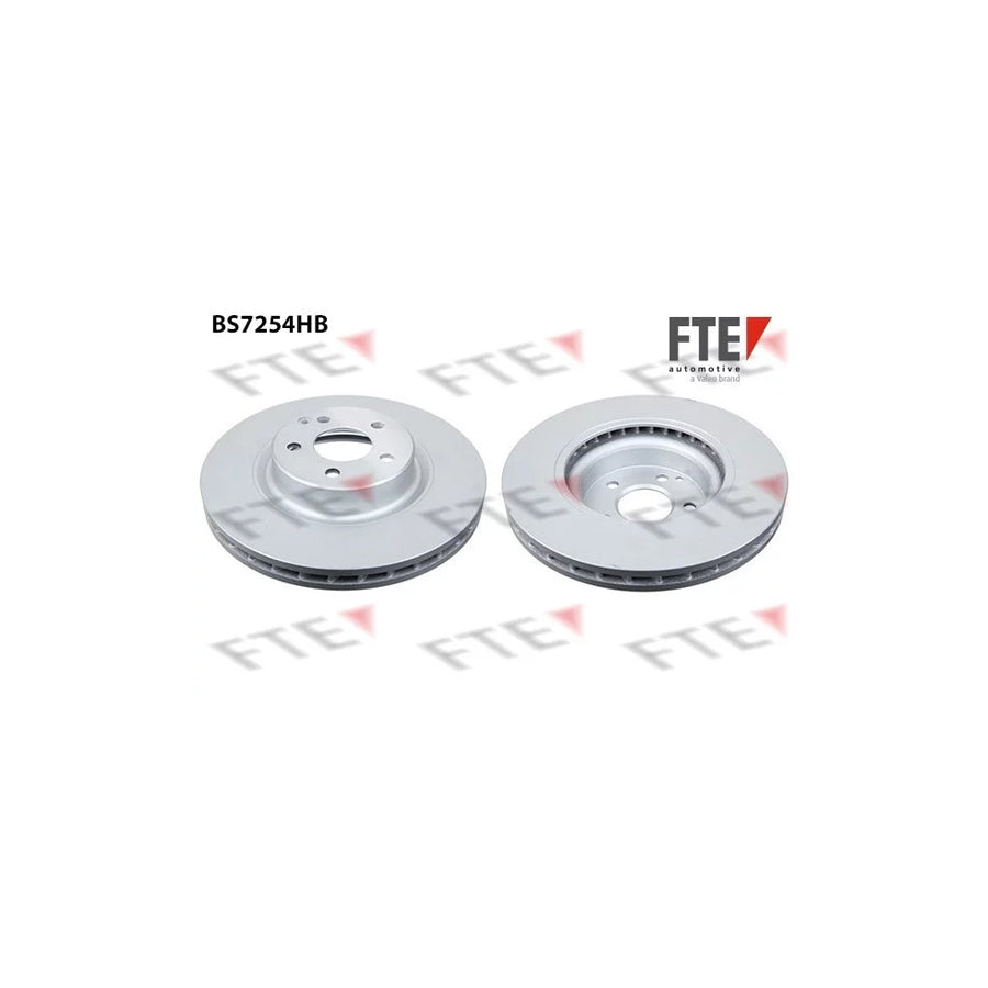 FTE 9081060 Brake Disc