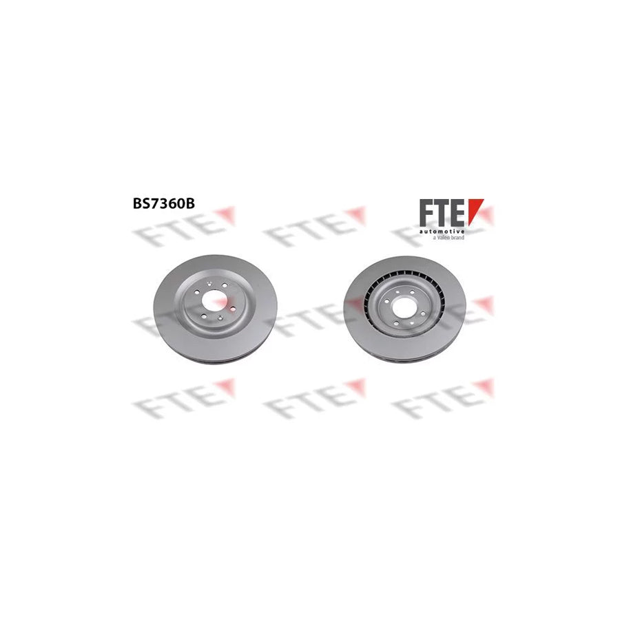 FTE 9081058 Brake Disc