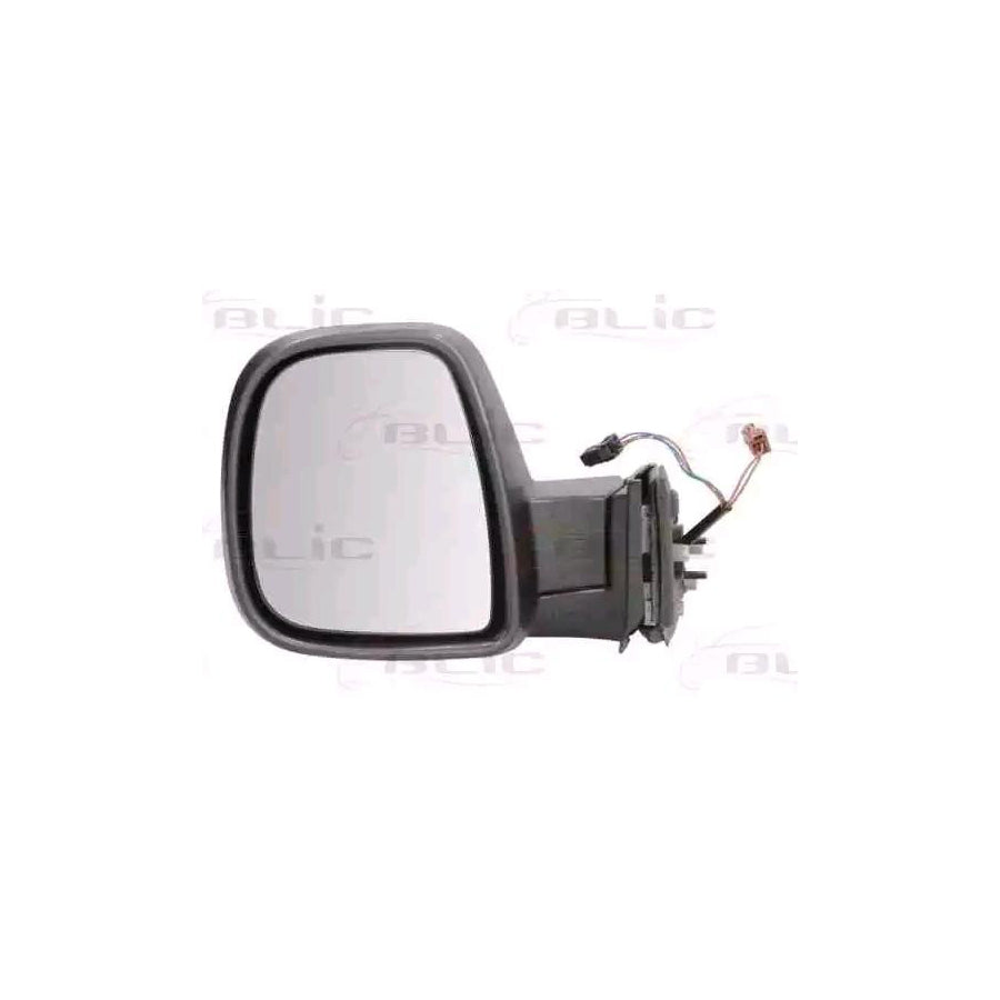 Blic 5402-21-035369P Wing Mirror