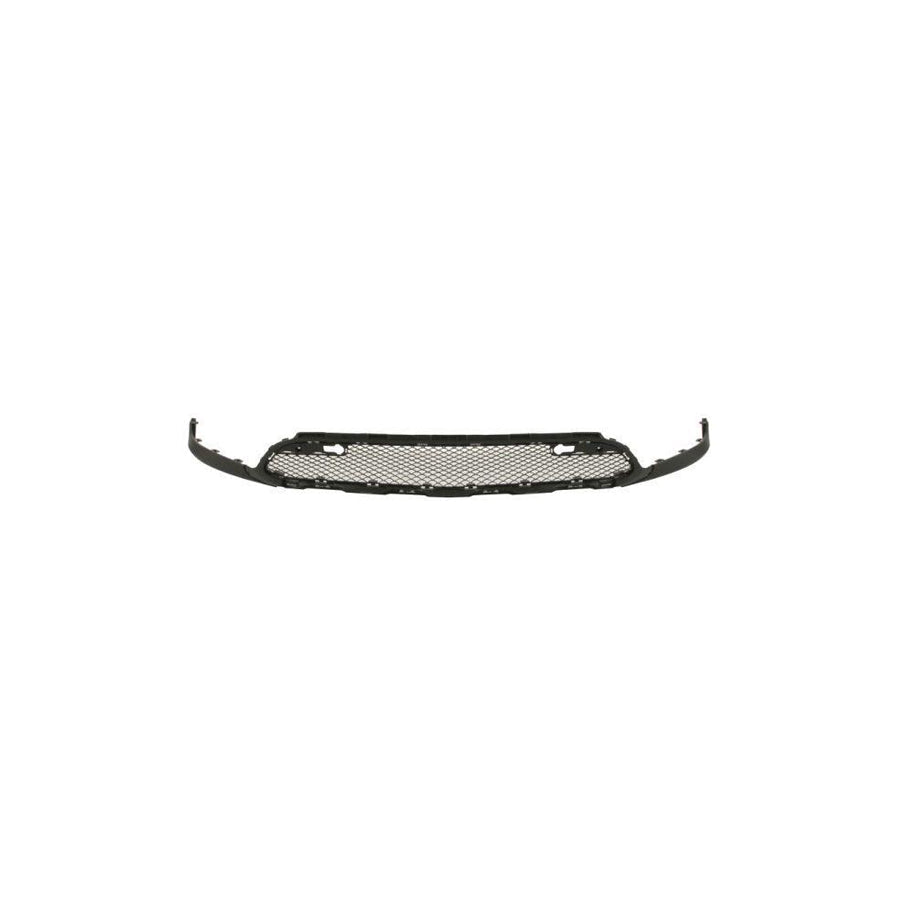 Blic 5703-04-9539573Cp Door Molding for VW Passat