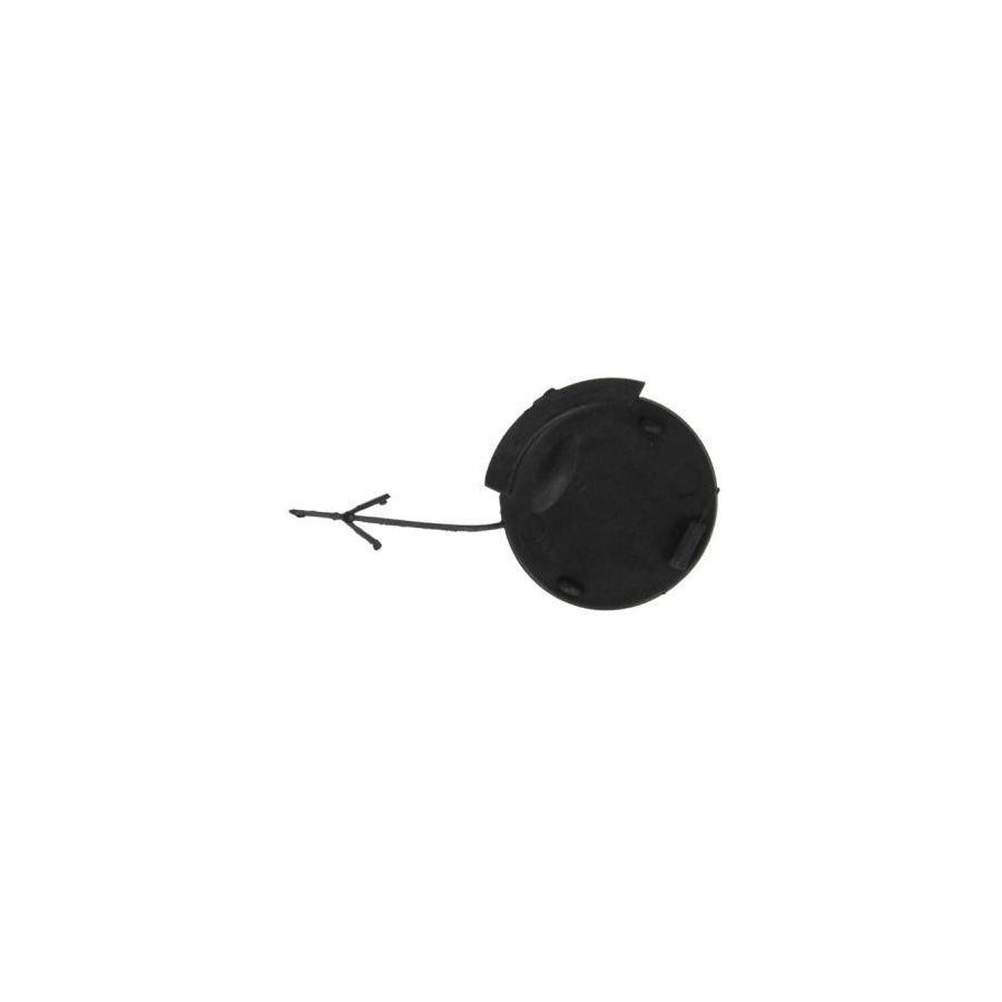 Blic 5513-00-5023920P Flap, Tow Hook