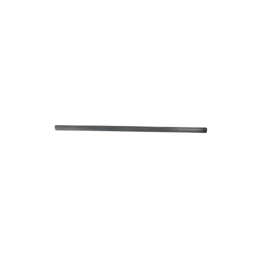 Blic 5703-04-9539572P Door Molding for VW Passat