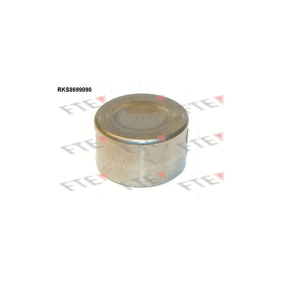 FTE Rks8699090 Piston, Brake Caliper