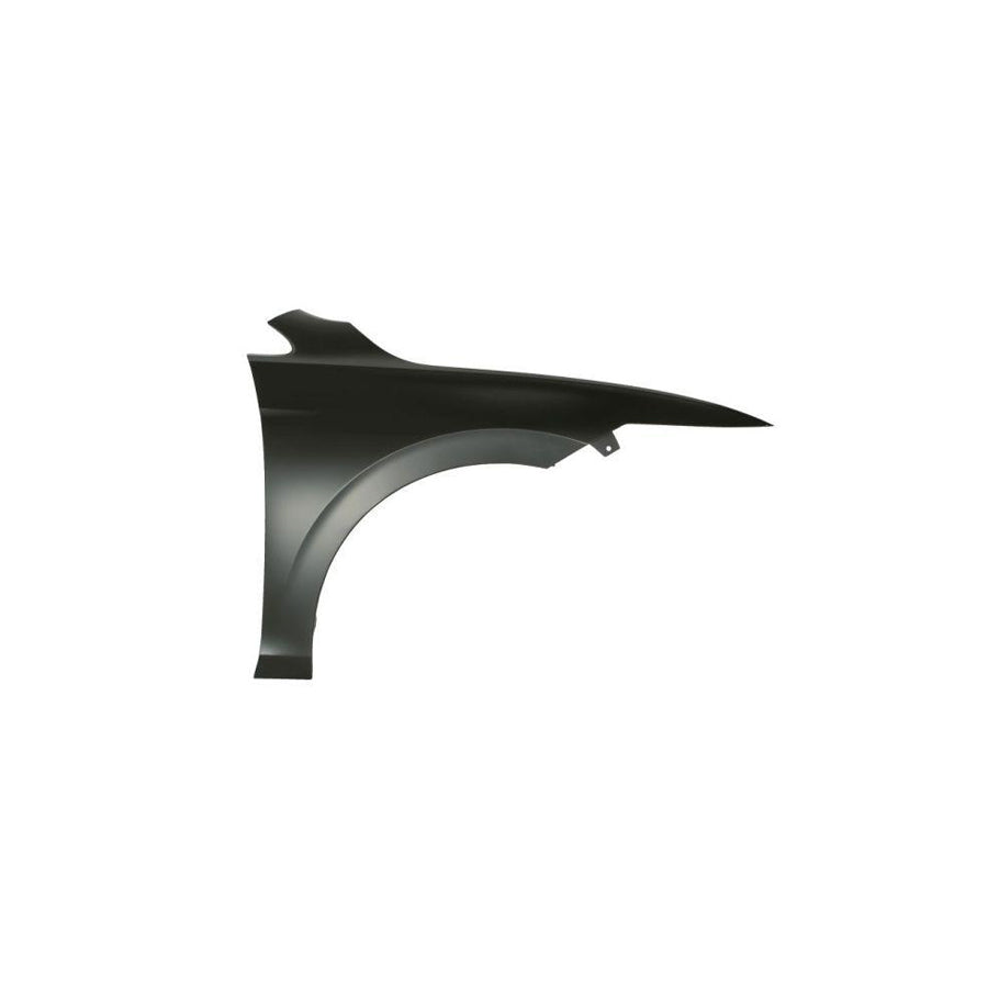 Blic 6601-01-0535802P Repair Panel for Citroen Xsara