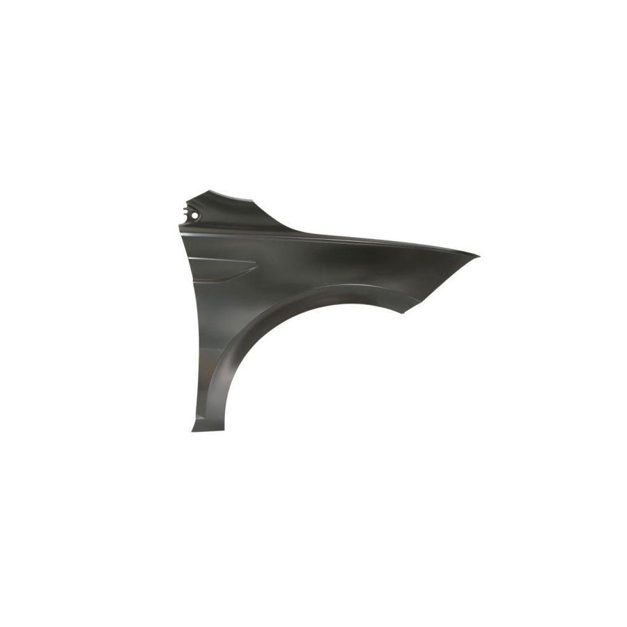Blic 6504-04-9508312Q Wing Fender for VW Polo VI (Aw1, Bz1)