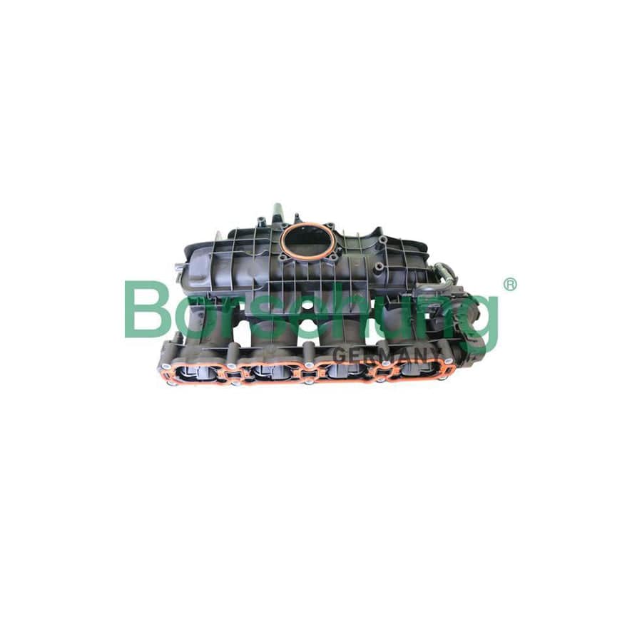 Borsehung B10665 Intake Manifold, Air Supply