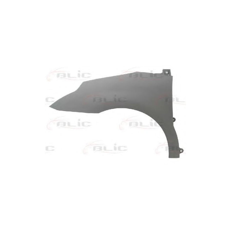 Blic 6504-04-0537311P Wing Fender for Citroen C4