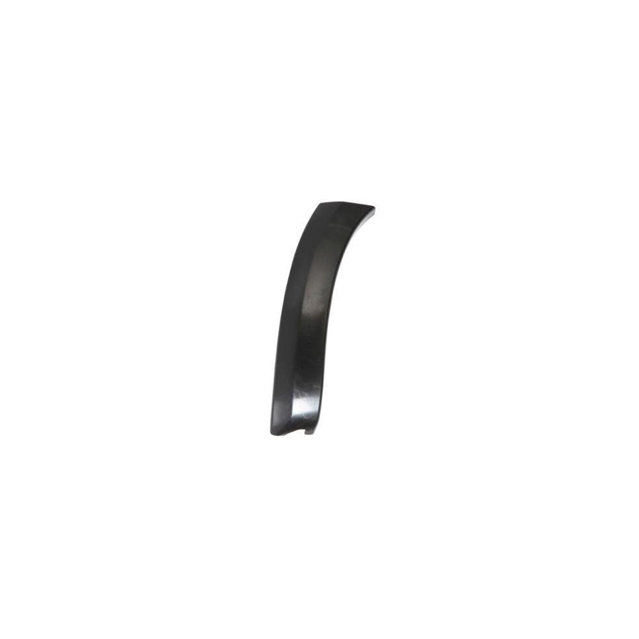 Blic 5703-08-8179379P Trim / Protective Strip, Mudguard for Toyota Rav4 III Off-Road (Xa30)