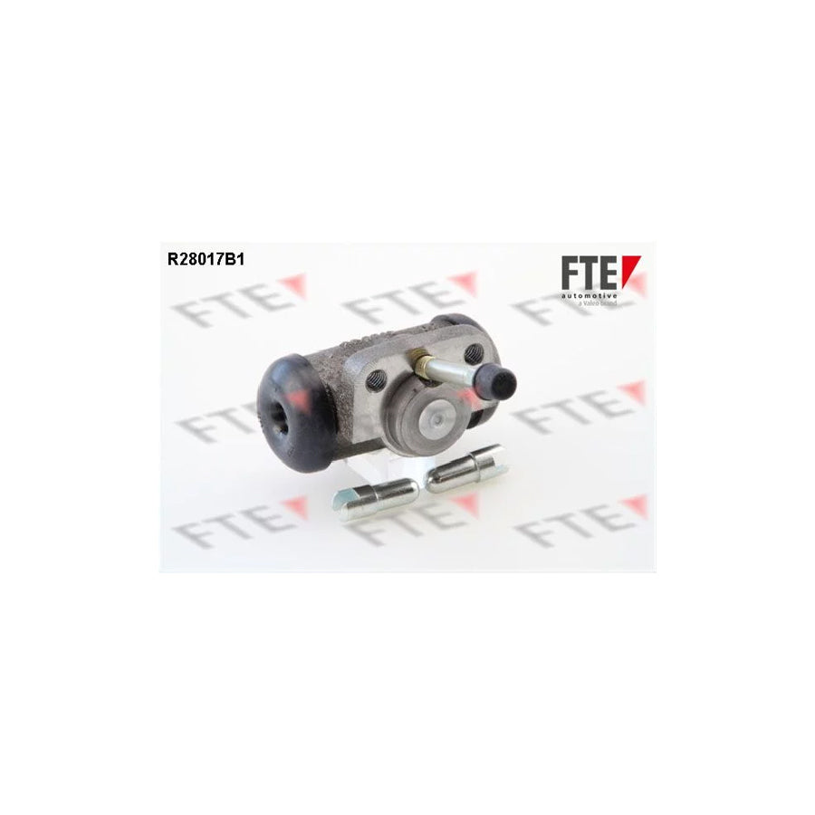 FTE R28017B1 Wheel Brake Cylinder