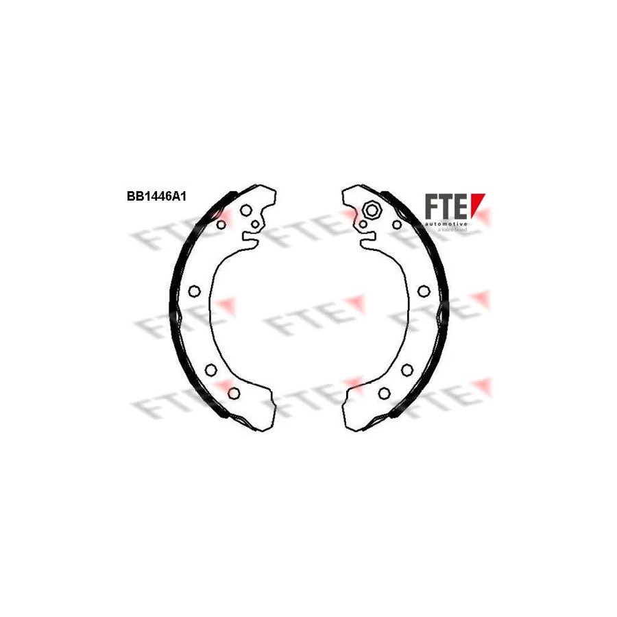 FTE 9100169 Brake Shoe Set