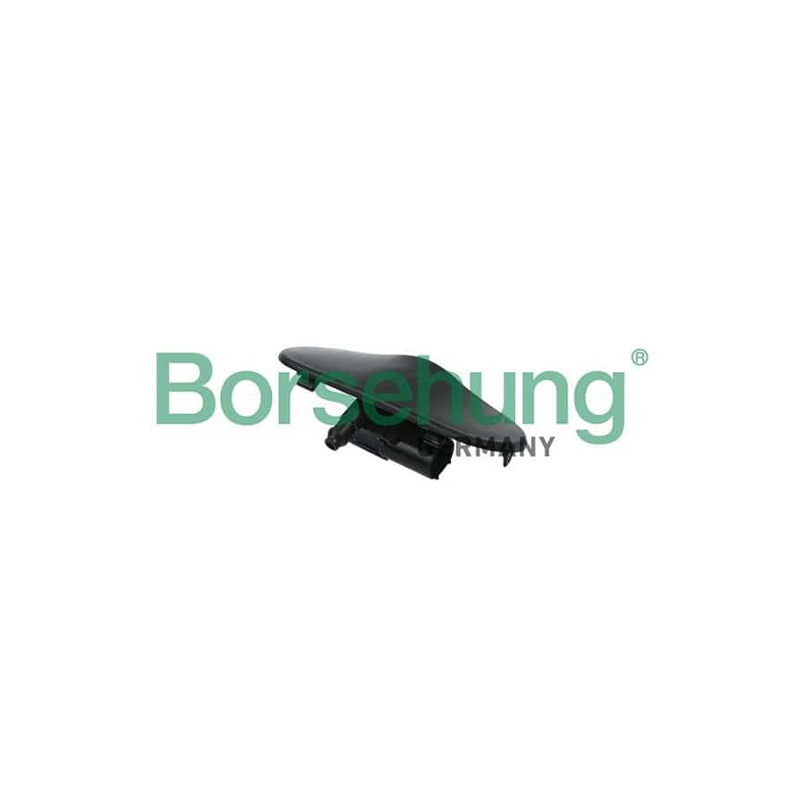 Borsehung B18499 Windscreen Washer Jet for Audi Q3 (8Ub, 8Ug)