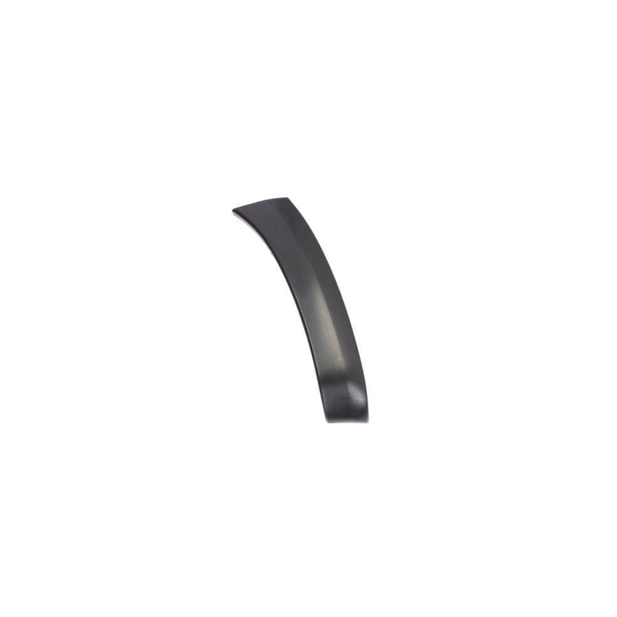 Blic 5703-08-8179378P Trim / Protective Strip, Mudguard for Toyota Rav4 III Off-Road (Xa30)