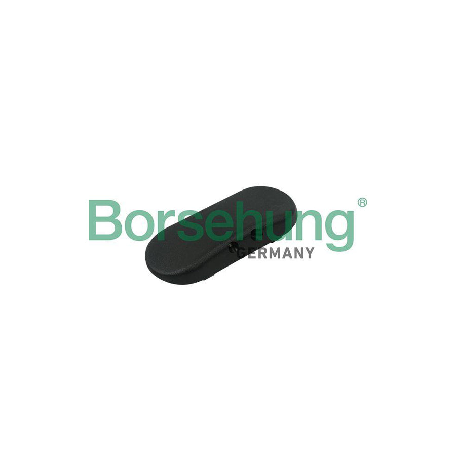 Borsehung B18496 Windscreen Washer Jet for Audi A6