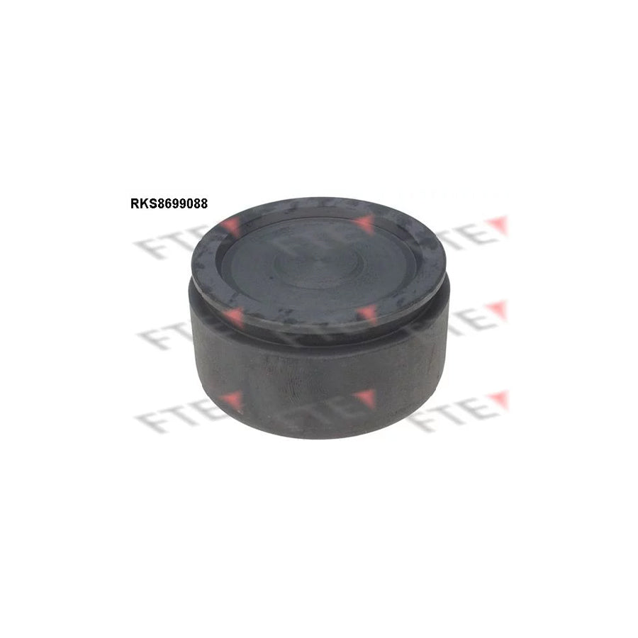 FTE Rks8699088 Piston, Brake Caliper