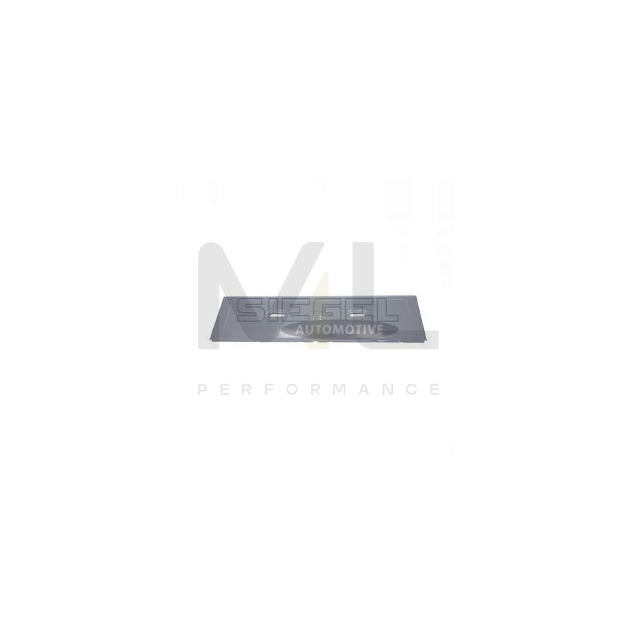 SIEGEL AUTOMOTIVE SA2D0730 Number plate holder Chrome, frameless