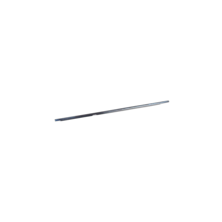 Genuine BMW 51357220191 E91 Outer Weatherstrip, Rear Left Door GLANZSCHWARZ (Inc. 318i, 320xd & 323i)