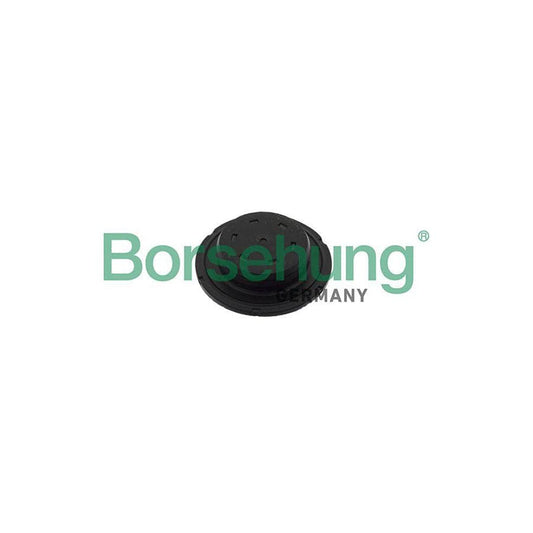 Borsehung B10644 Repair Sleeve, Timing Case Cover
