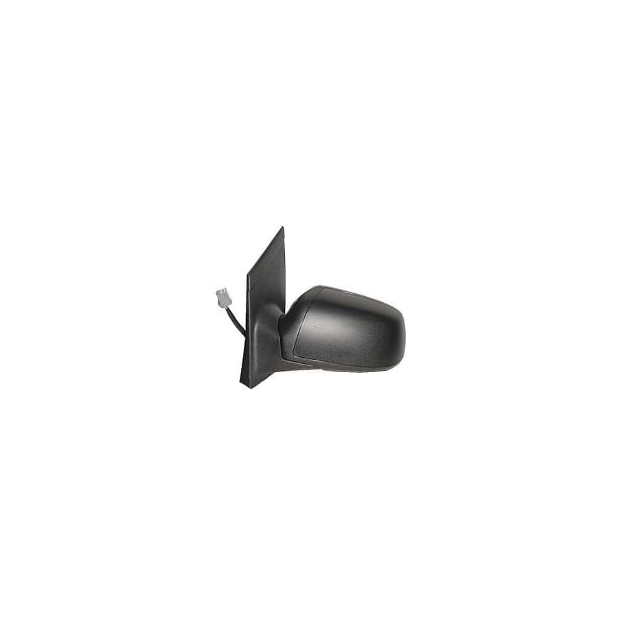 Abakus 1219M10 Wing Mirror for Ford Focus
