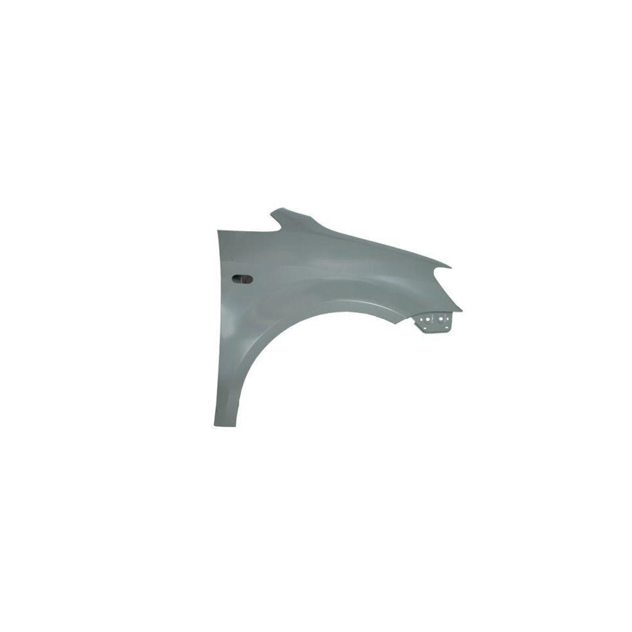 Blic 6601-01-0524831P Repair Panel for Citroen C5