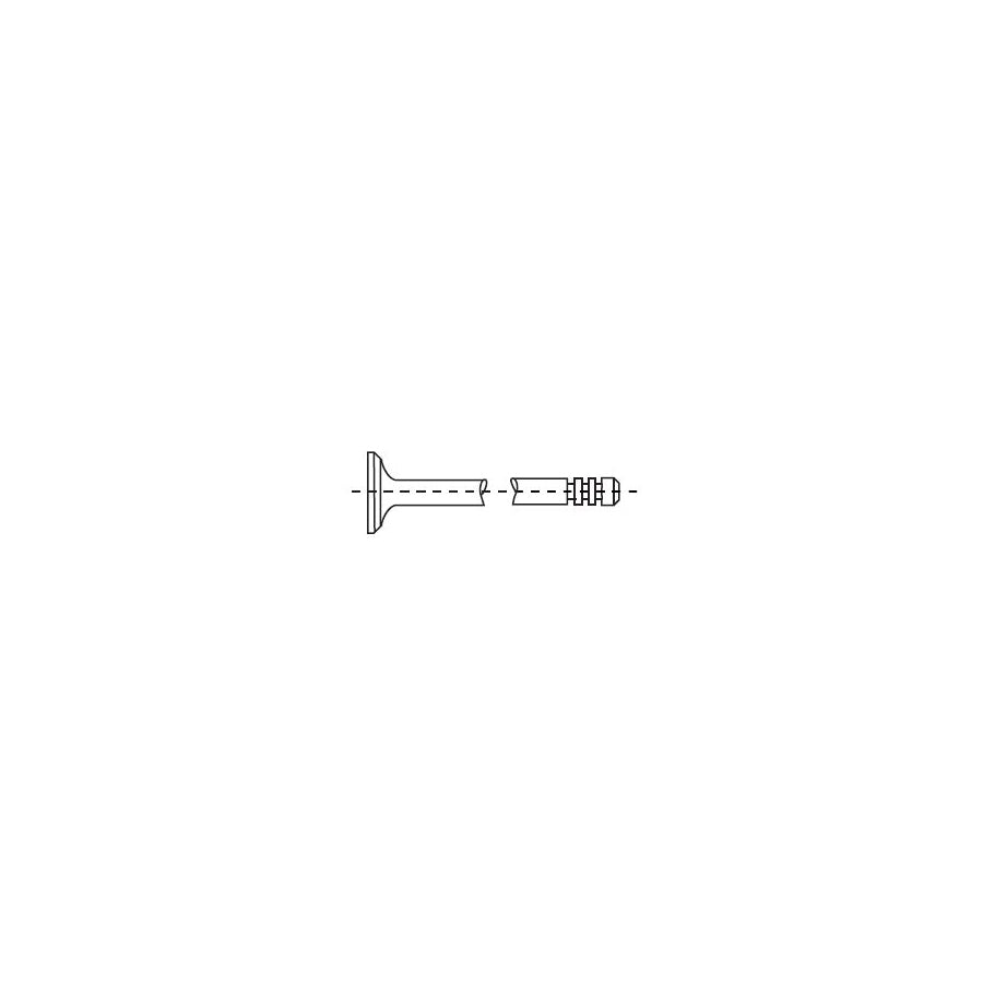 Corteco 554205B Exhaust Valve