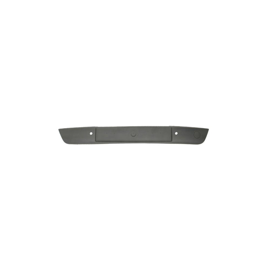 Blic 6502-07-0538921P Bumper Moulding for Citroen C4