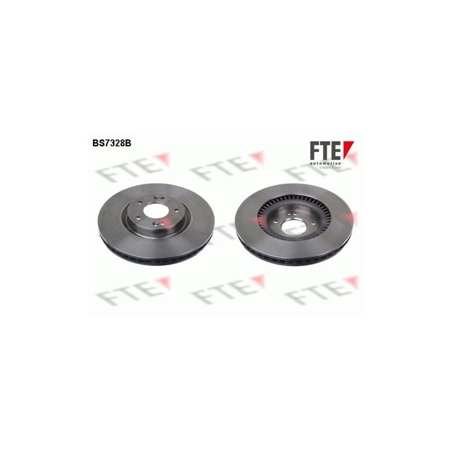 FTE 9081081 Brake Disc