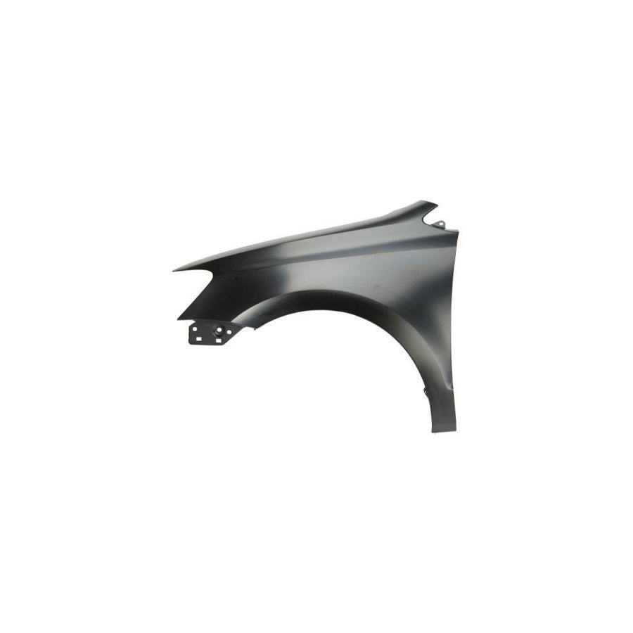 Blic 6504-04-9507311P Wing Fender for VW Polo