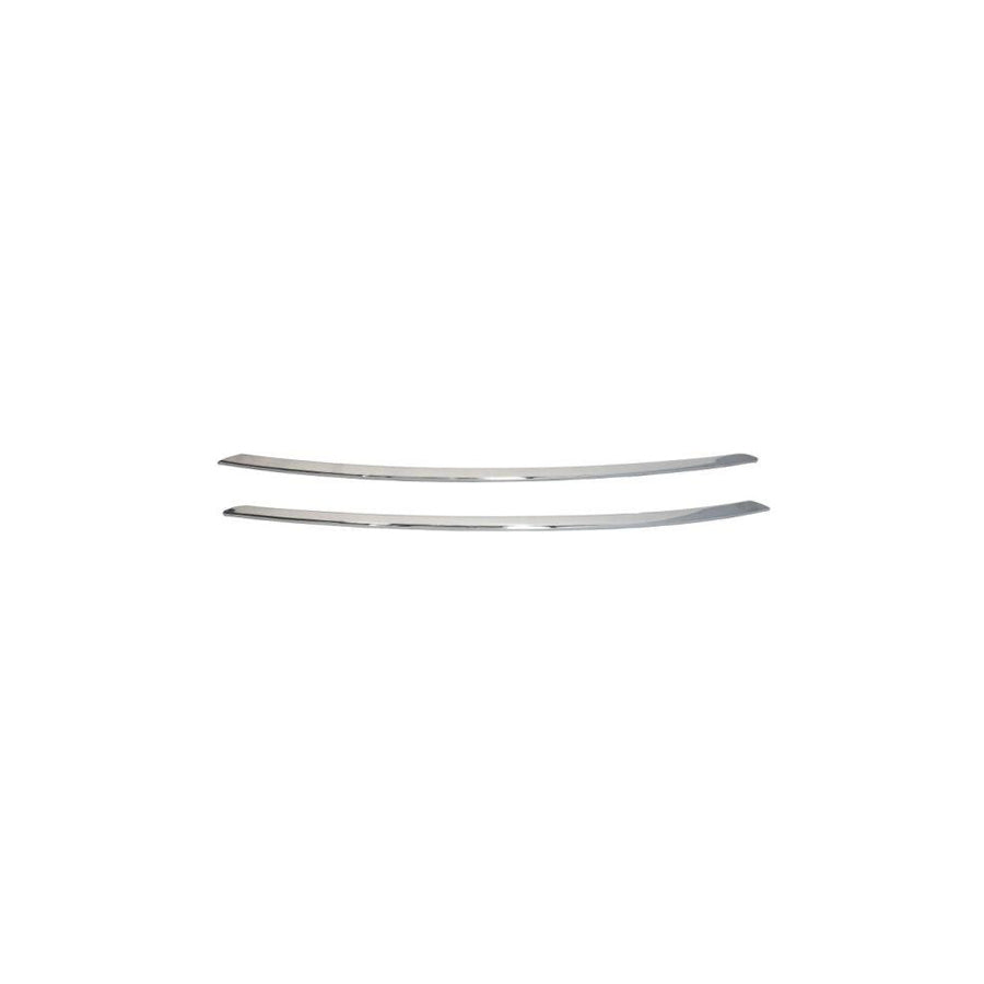 Blic 6502-07-0538920P Bumper Moulding for Citroen C4