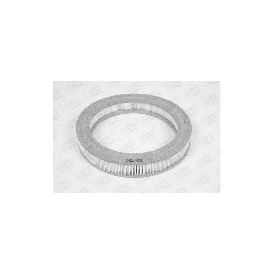 Champion W155/606 Air Filter