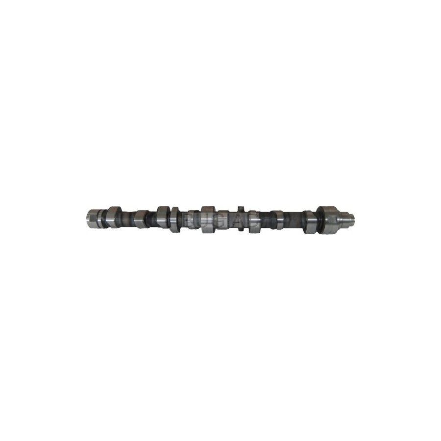 BUGIAD Bsp23243 Camshaft