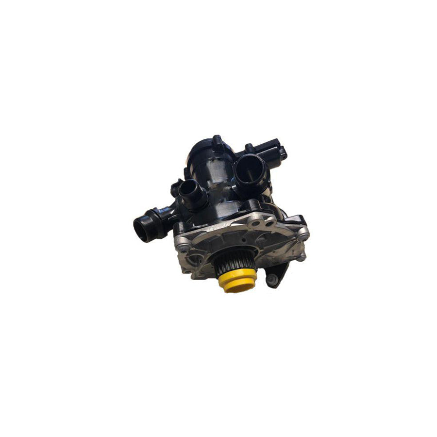 BUGIAD Bsp25195 Water Pump