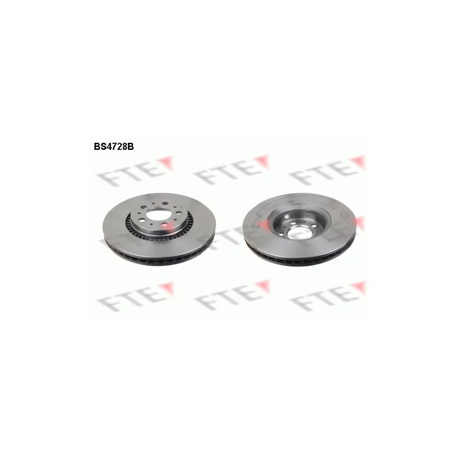 FTE 9081076 Brake Disc