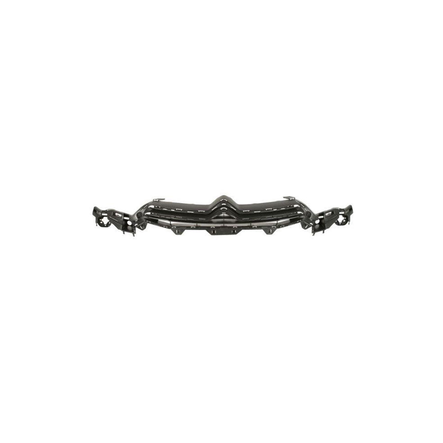 Blic 6502-07-0537991Q Radiator Grille for Citroen C4