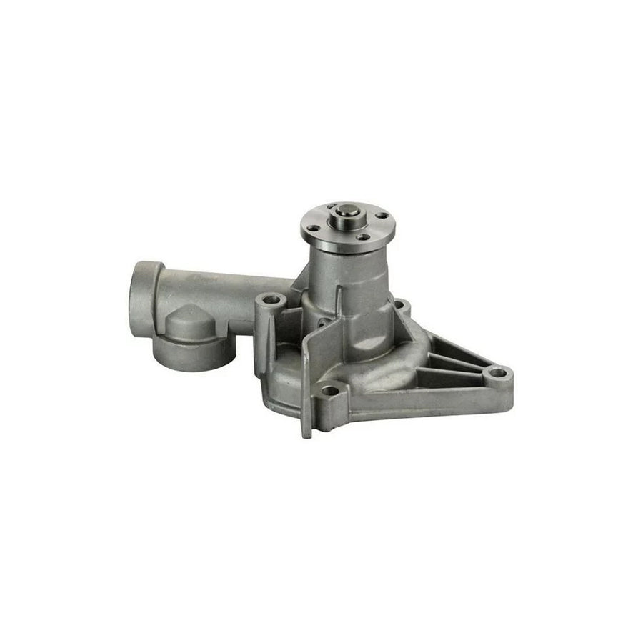 Denckermann A310068P Water Pump