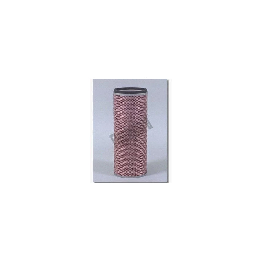 Fleetguard Af4699 Air Filter