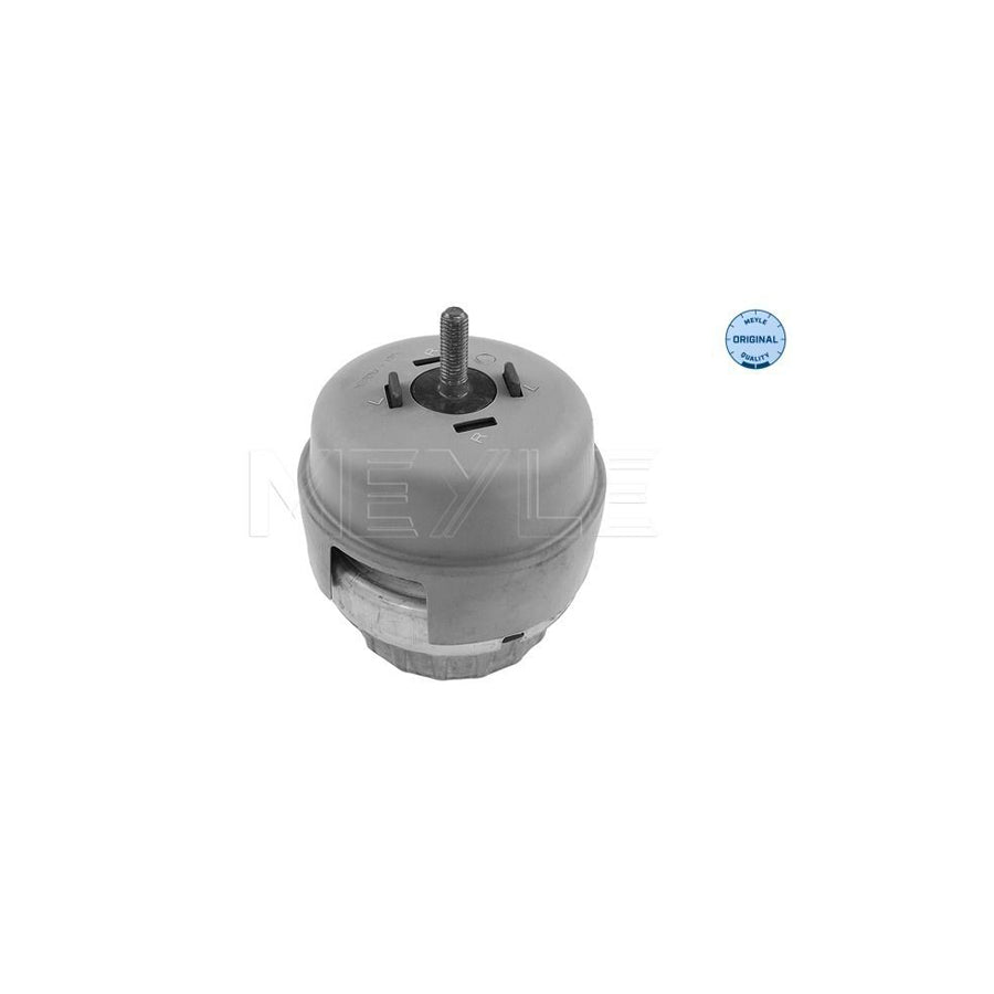 Meyle 100 199 0176 Engine Mount For Audi A6