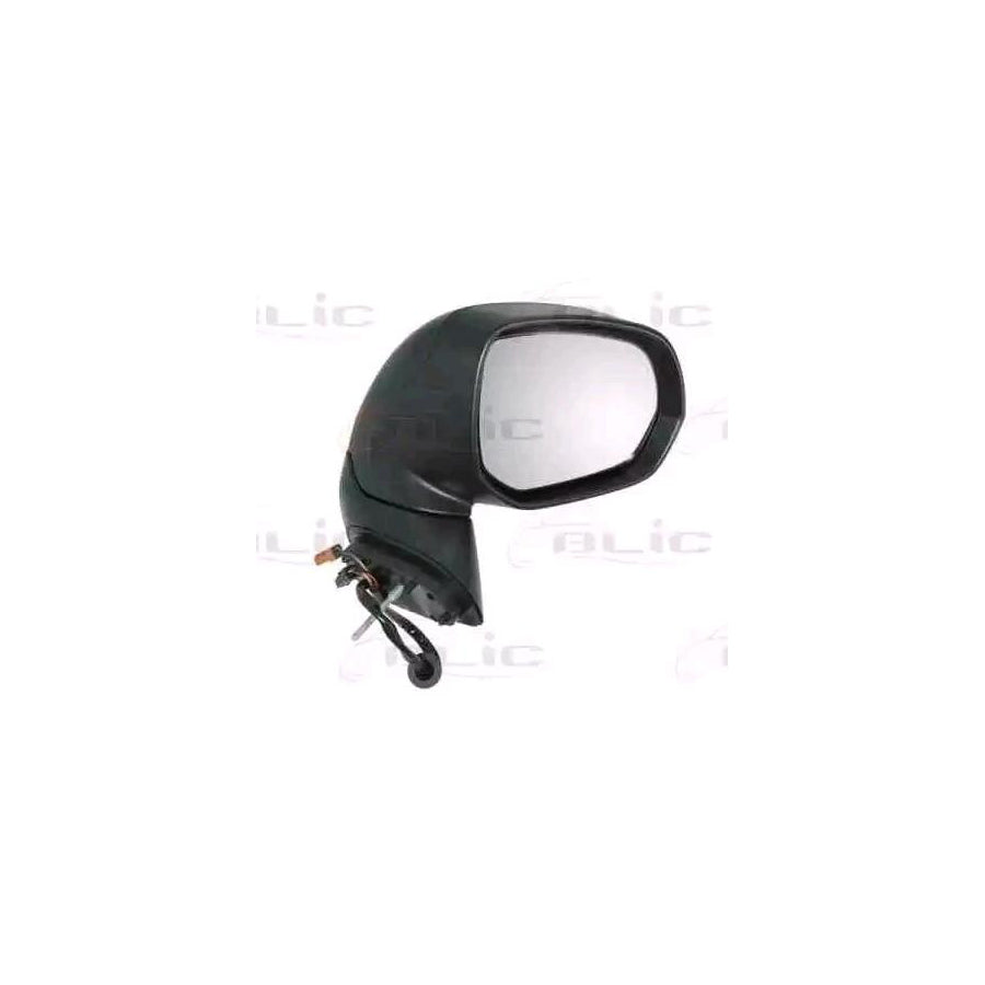 Blic 5402-21-037370P Wing Mirror for Citroen C3 Picasso