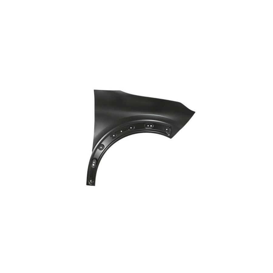 Blic 6504-04-0540316P Wing Fender for Citroen C4 II Cactus