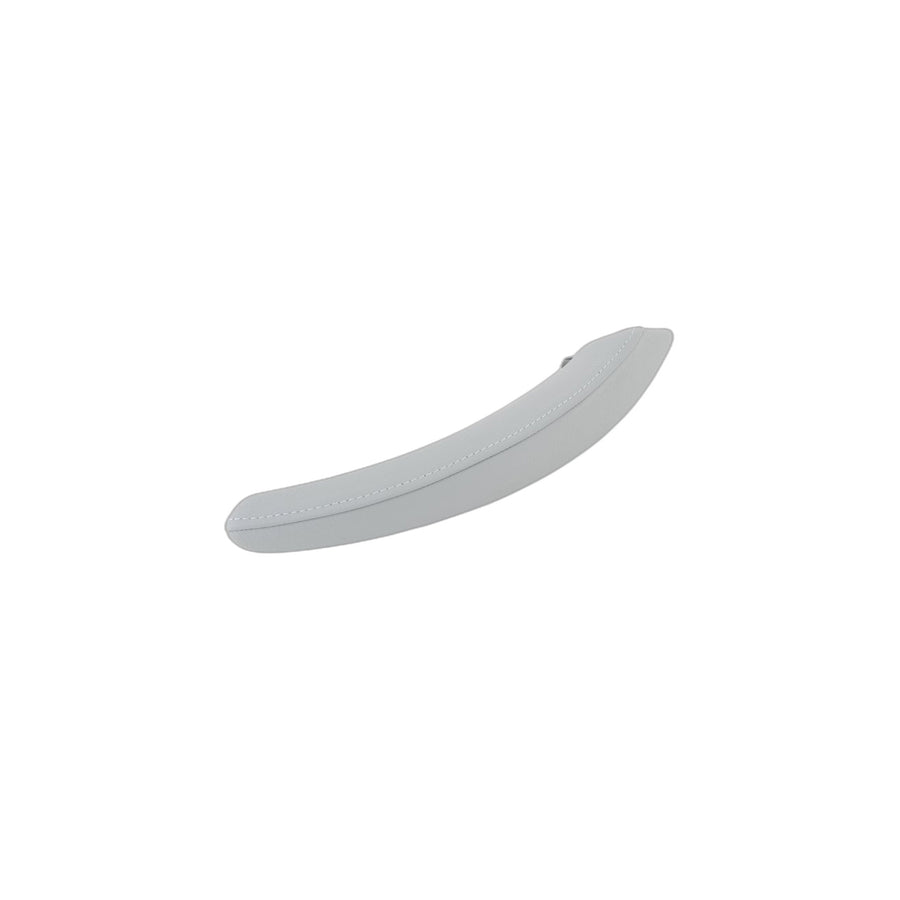 Genuine BMW 51416970170 E70 Trim Cover, Pull Strap, Right GRAU (Inc. X5)